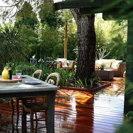 Appartamento Mas Des Fleurs - Olive House *
