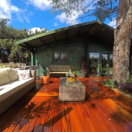 Apartment Mas Des Fleurs - Olive House