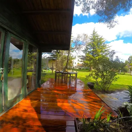 Mas Des Fleurs - Olive House *