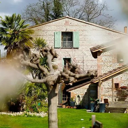 Mas Des Fleurs - Olive House * بيربينيو
