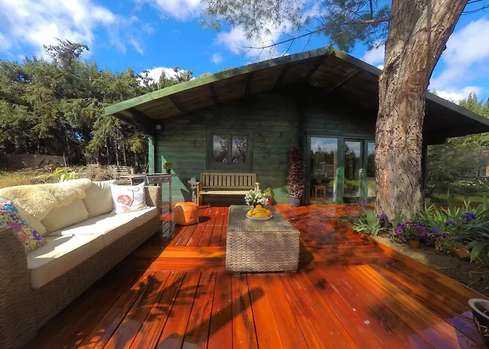 Daire Mas Des Fleurs - Olive House