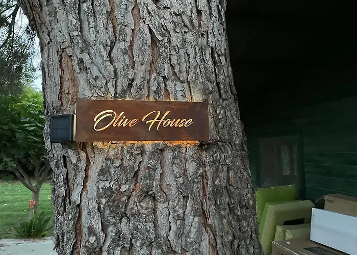 Mas Des Fleurs - Olive House Daire *